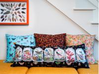 Curio Pillows by 